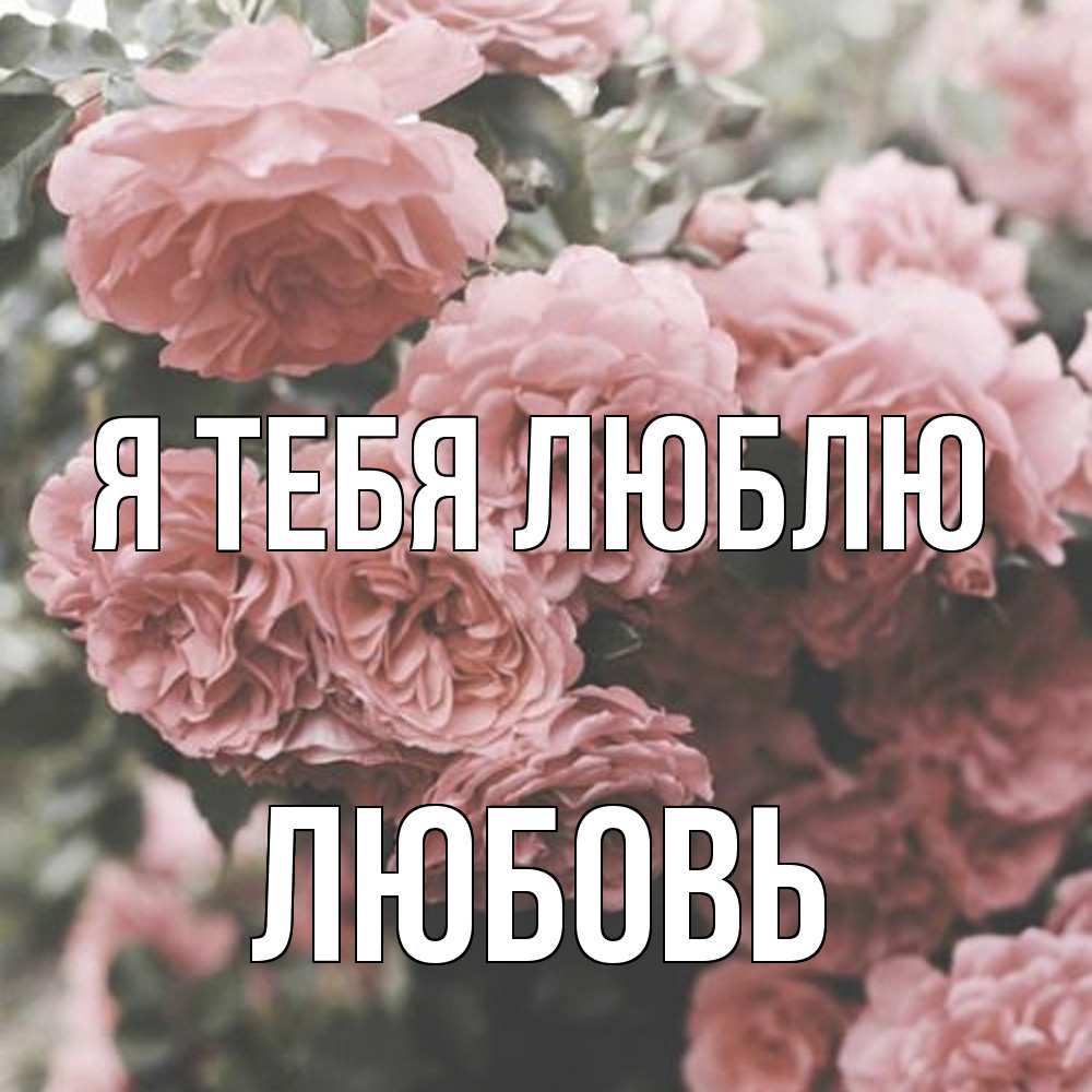 Открытка на каждый день с именем, Любовь Я тебя люблю розы 3 Прикольная открытка с пожеланием онлайн скачать бесплатно 