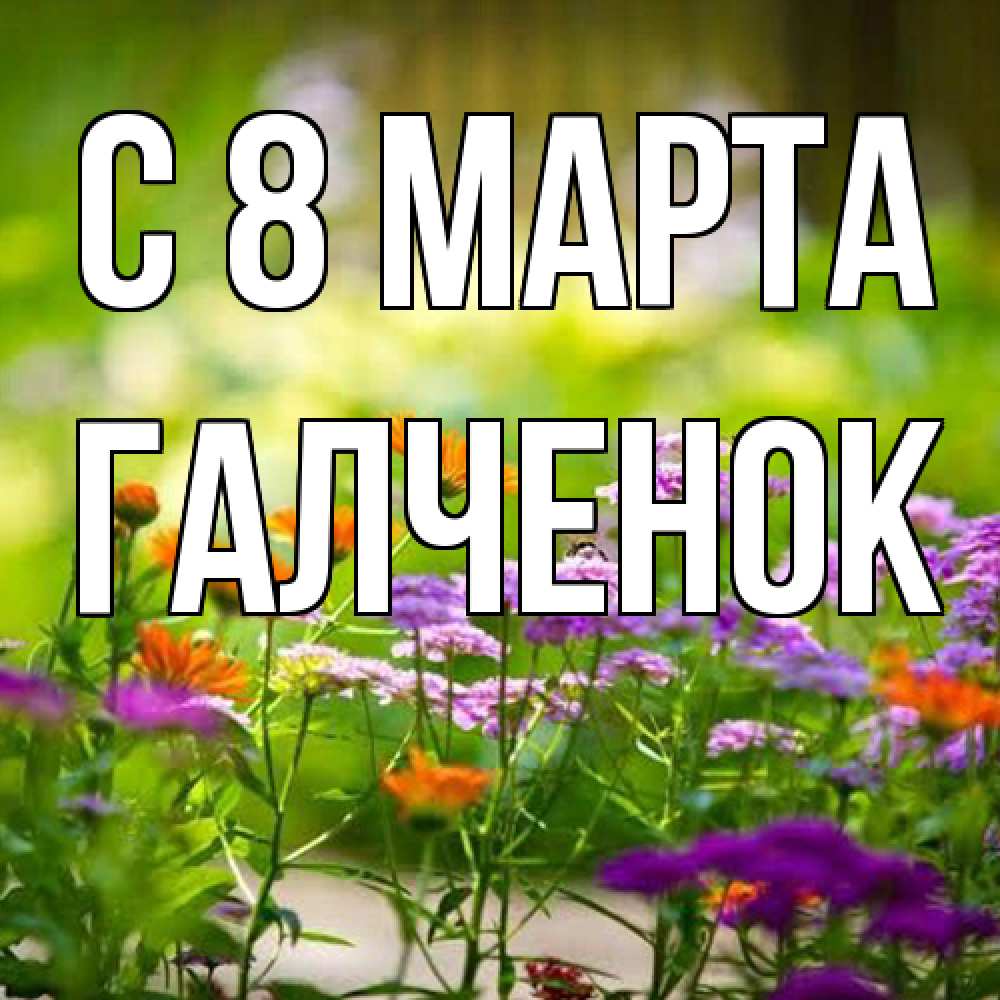 Открытка на каждый день с именем, Галченок C 8 МАРТА цветы Прикольная открытка с пожеланием онлайн скачать бесплатно 