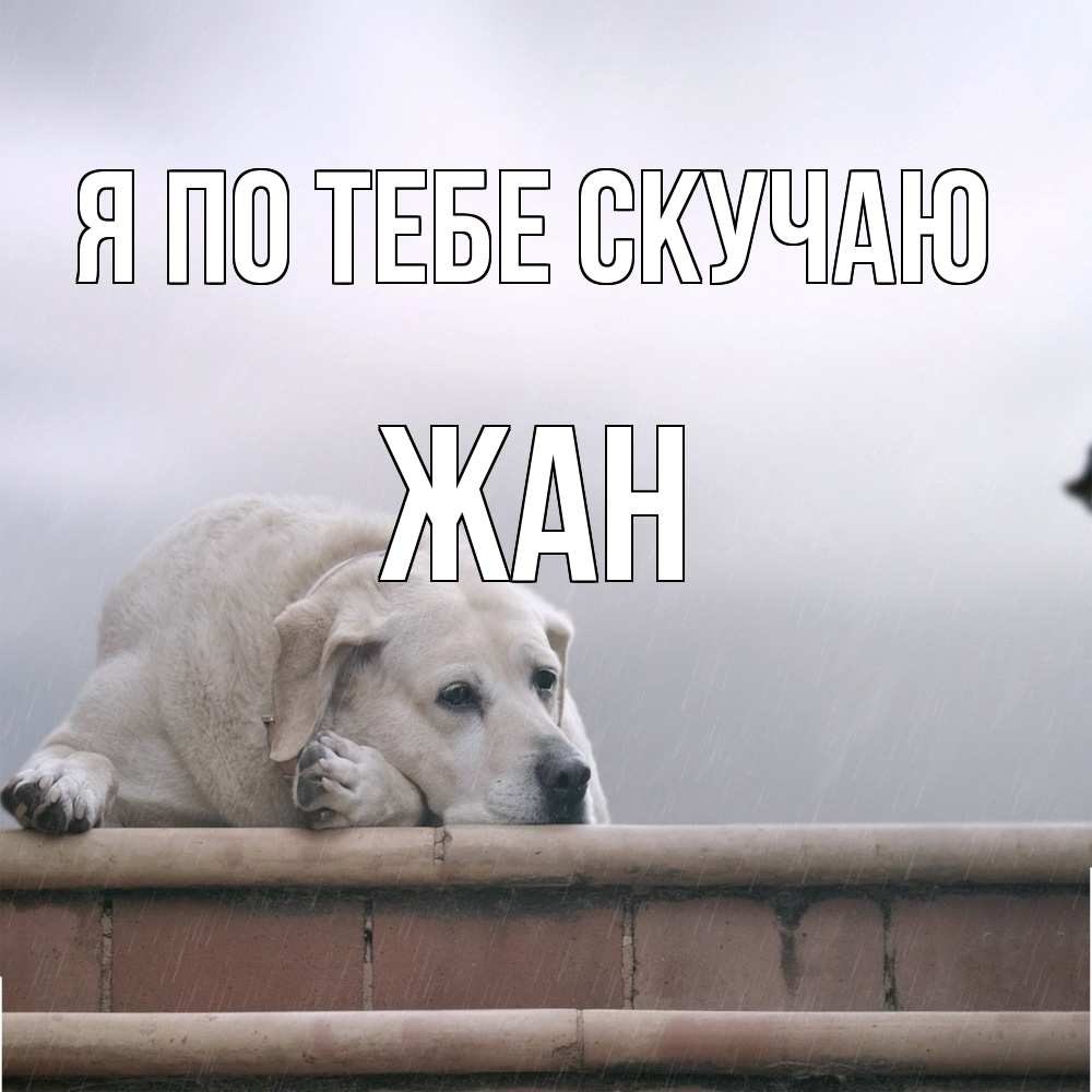 Открытка на каждый день с именем, Жан Я по тебе скучаю ждет Прикольная открытка с пожеланием онлайн скачать бесплатно 
