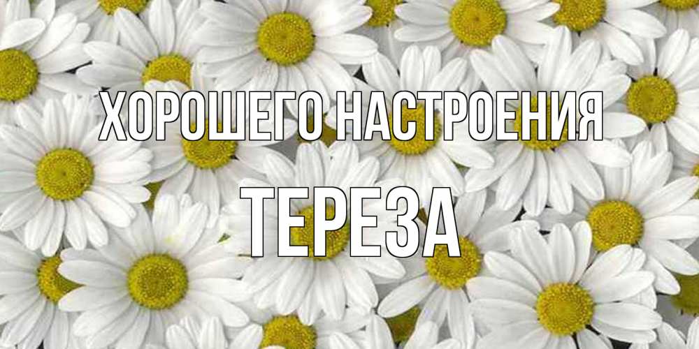 Открытка на каждый день с именем, Тереза Хорошего настроения поляна ромашек Прикольная открытка с пожеланием онлайн скачать бесплатно 