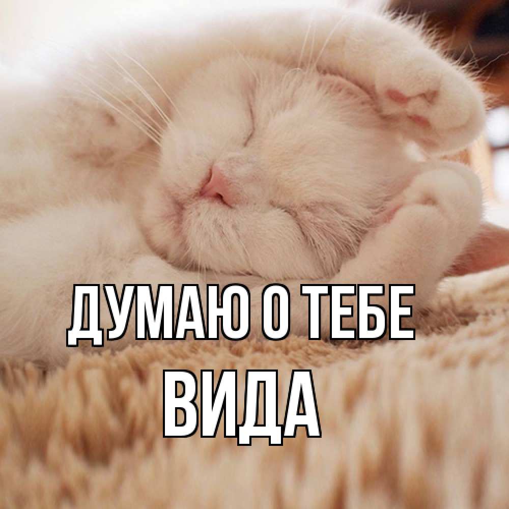 Открытка на каждый день с именем, Вида Думаю о тебе для любимой девушки милота Прикольная открытка с пожеланием онлайн скачать бесплатно 