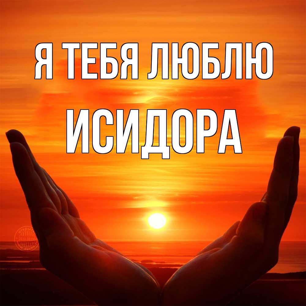 Открытка на каждый день с именем, Исидора Я тебя люблю в руках Прикольная открытка с пожеланием онлайн скачать бесплатно 