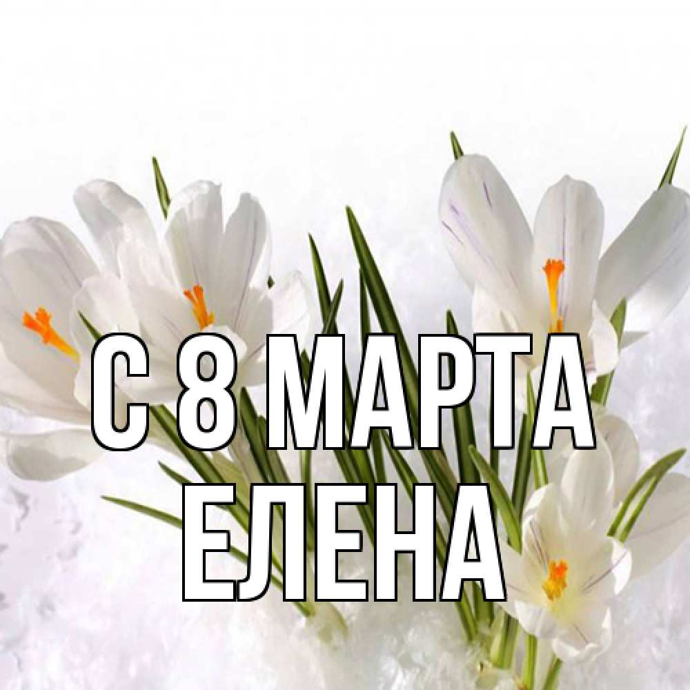 Открытка на каждый день с именем, Елена C 8 МАРТА под снегом Прикольная открытка с пожеланием онлайн скачать бесплатно 