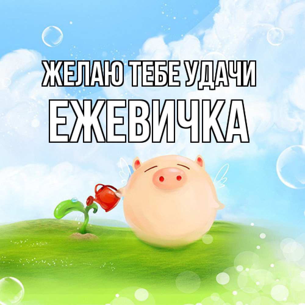 Открытка на каждый день с именем, ежевичка Желаю тебе удачи поросенок поливает цветок. летнее настроение Прикольная открытка с пожеланием онлайн скачать бесплатно 