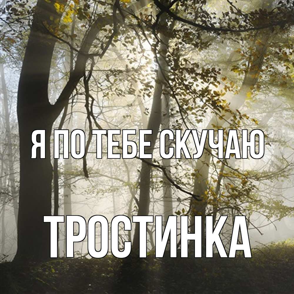 Открытка на каждый день с именем, Тростинка Я по тебе скучаю грустно Прикольная открытка с пожеланием онлайн скачать бесплатно 