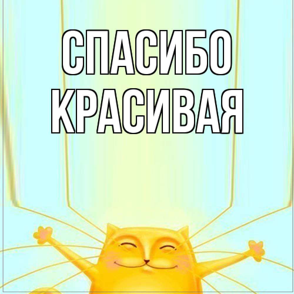 Открытка на каждый день с именем, Красивая Спасибо кот с усами благодарит Прикольная открытка с пожеланием онлайн скачать бесплатно 