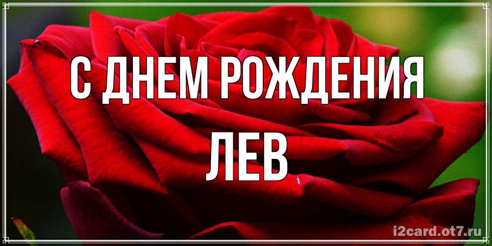 Открытка на каждый день с именем, Лев С днем рождения розочка очень красивая Прикольная открытка с пожеланием онлайн скачать бесплатно 