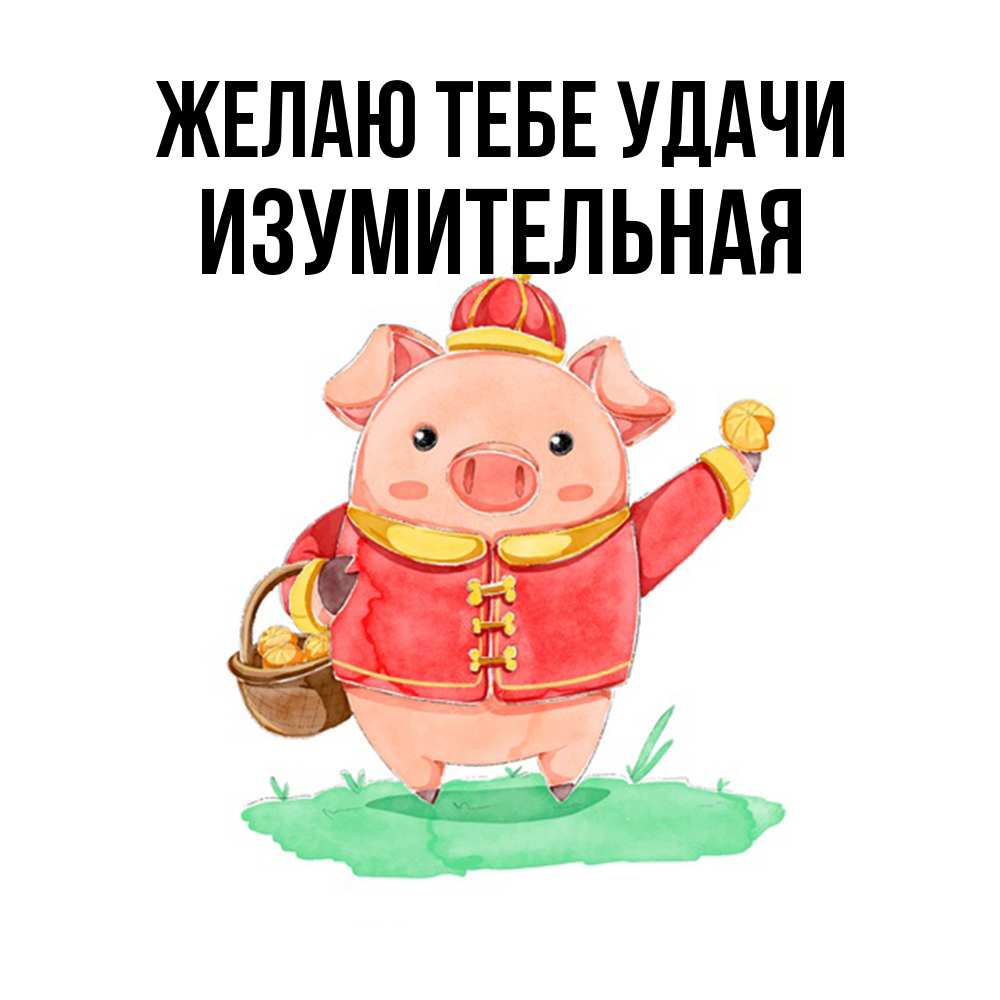 Открытка на каждый день с именем, изумительная Желаю тебе удачи поросенок Прикольная открытка с пожеланием онлайн скачать бесплатно 