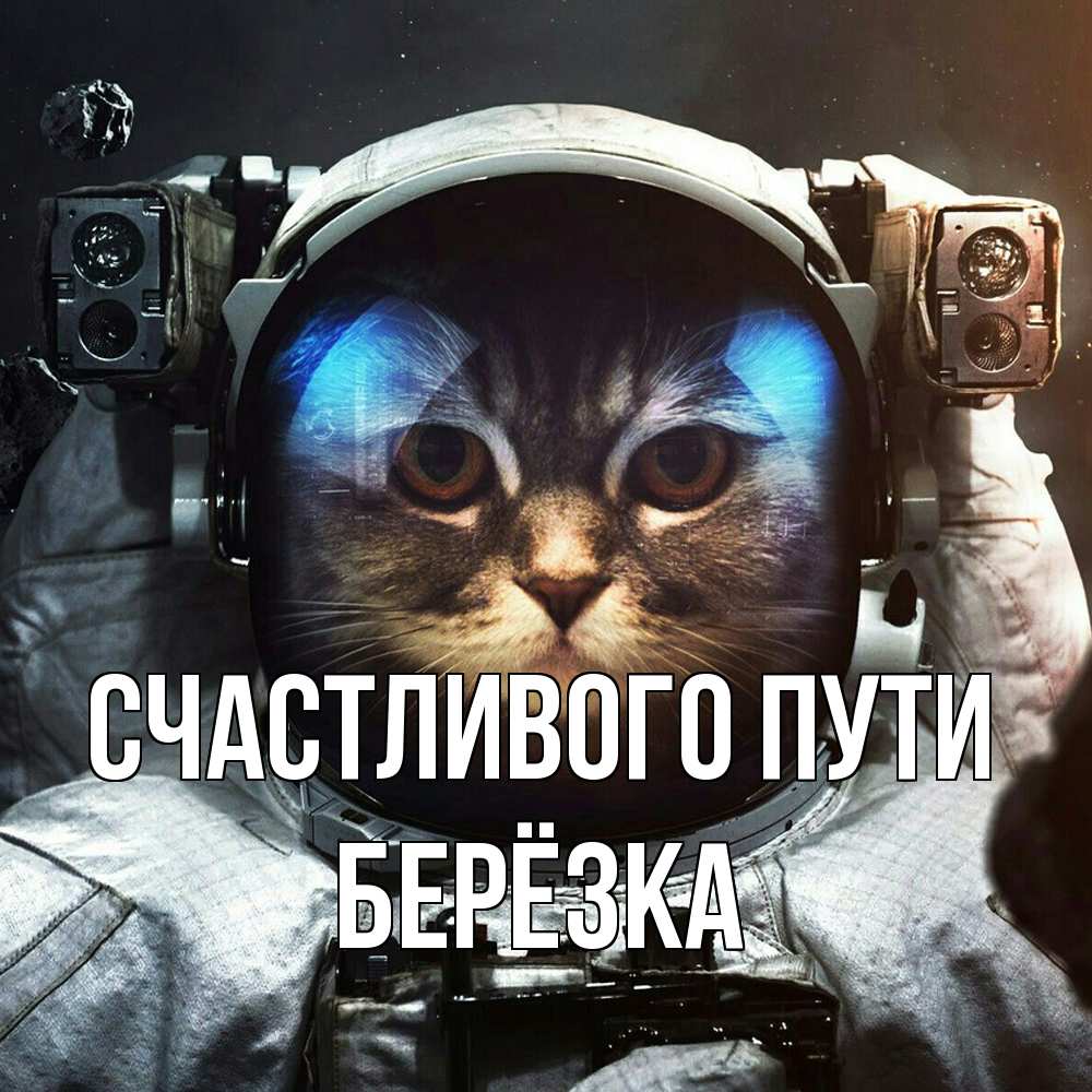 Открытка на каждый день с именем, Берёзка Счастливого пути желает удачно добраться Прикольная открытка с пожеланием онлайн скачать бесплатно 
