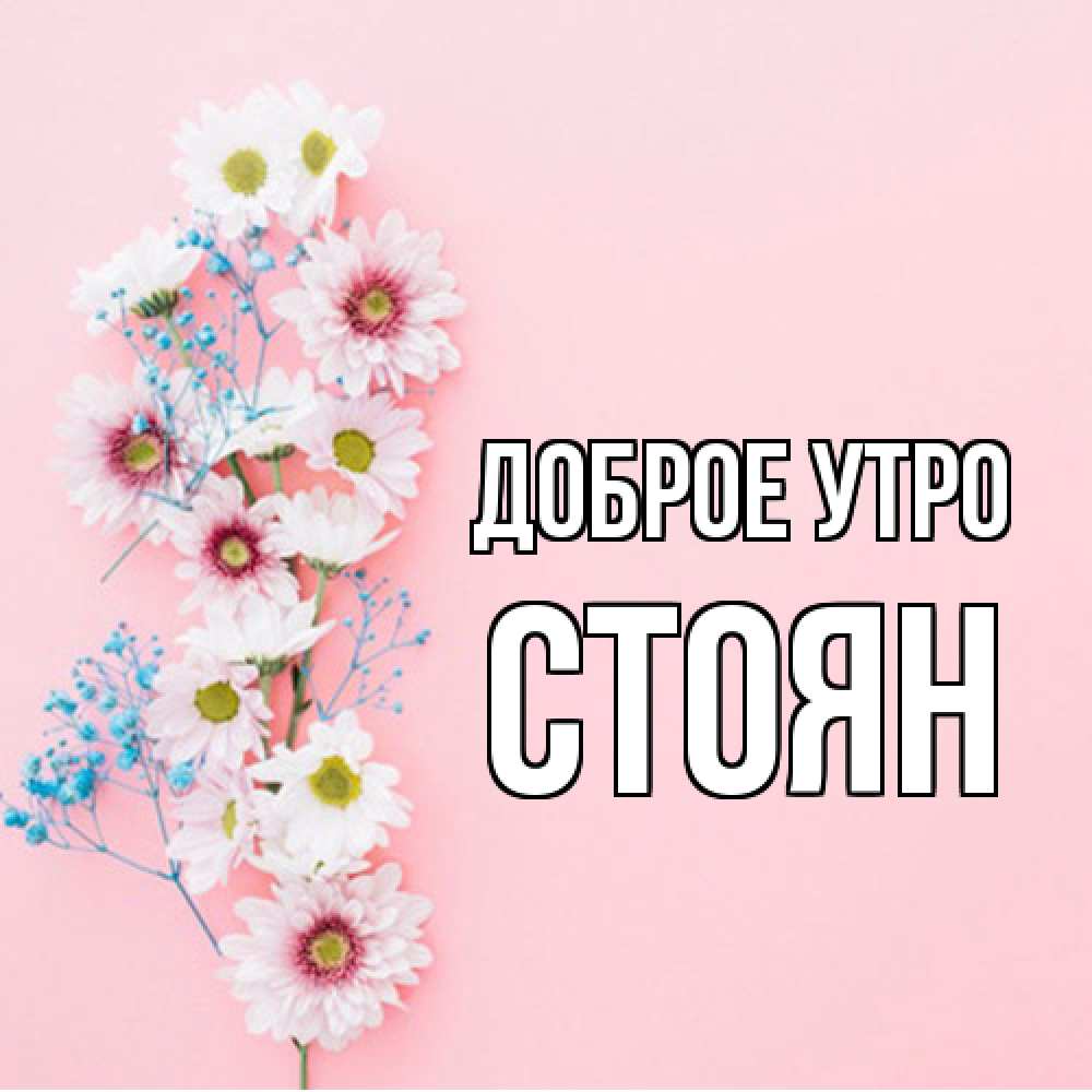 Открытка на каждый день с именем, Стоян Доброе утро цветы с подписью Прикольная открытка с пожеланием онлайн скачать бесплатно 