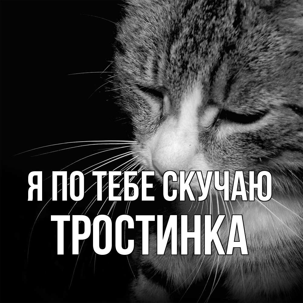 Открытка на каждый день с именем, Тростинка Я по тебе скучаю мне скучно Прикольная открытка с пожеланием онлайн скачать бесплатно 