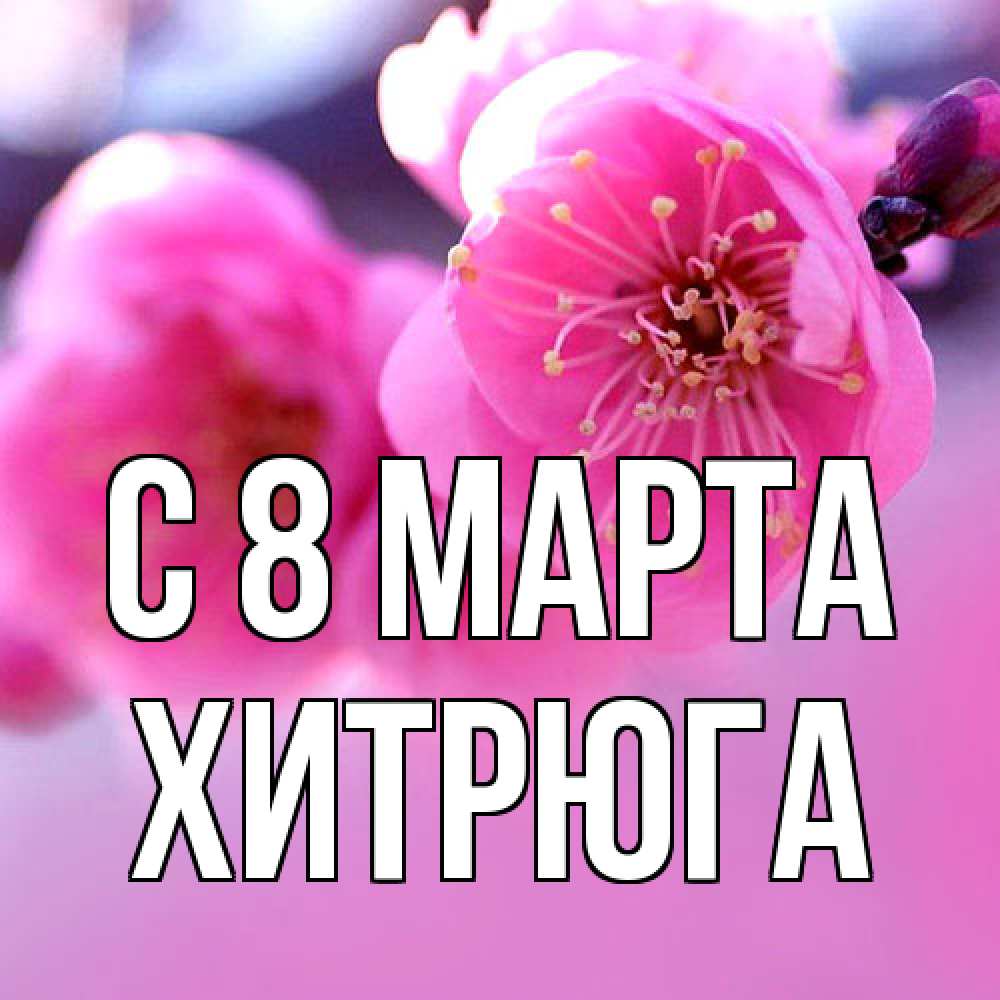 Открытка на каждый день с именем, хитрюга C 8 МАРТА международный женский день Прикольная открытка с пожеланием онлайн скачать бесплатно 