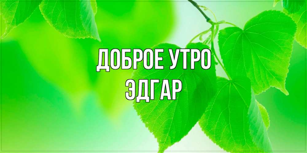 Открытка на каждый день с именем, Эдгар Доброе утро доброе утро с березовыми листьями Прикольная открытка с пожеланием онлайн скачать бесплатно 