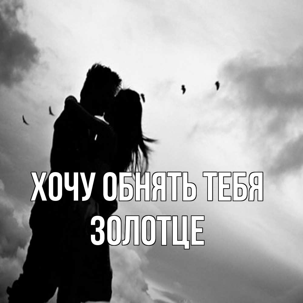 Открытка на каждый день с именем, Золотце Хочу обнять тебя летят птицы Прикольная открытка с пожеланием онлайн скачать бесплатно 