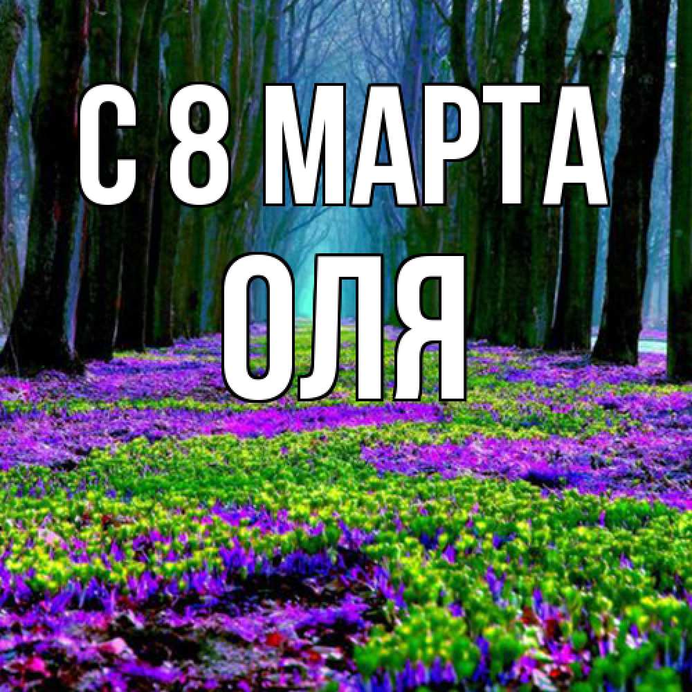 Открытка на каждый день с именем, Оля C 8 МАРТА фиолетовые цветы в лесу 1 Прикольная открытка с пожеланием онлайн скачать бесплатно 