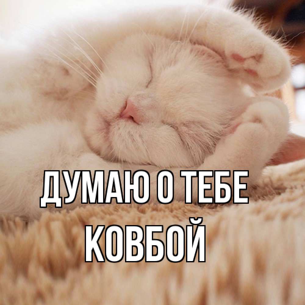 Открытка на каждый день с именем, Ковбой Думаю о тебе для любимой девушки милота Прикольная открытка с пожеланием онлайн скачать бесплатно 