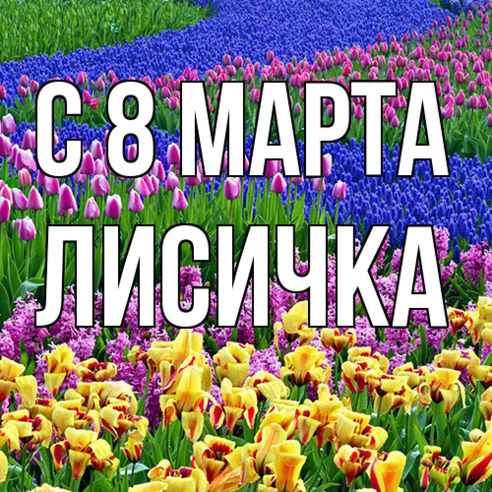 Открытка на каждый день с именем, Лисичка C 8 МАРТА цветы Прикольная открытка с пожеланием онлайн скачать бесплатно 