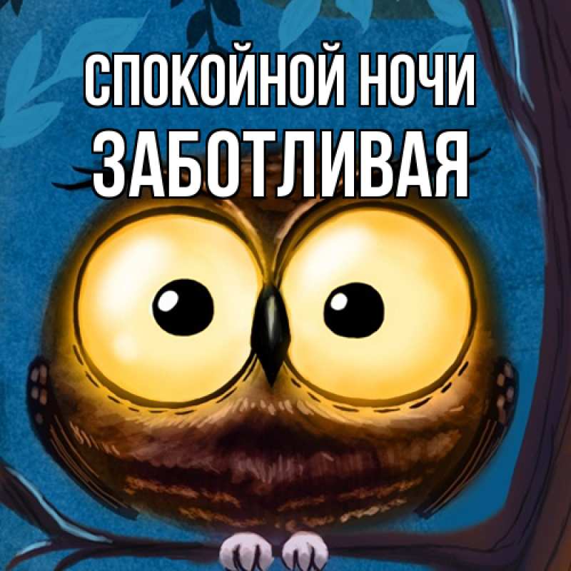 Картинка Спокойной ночи, Заботливая