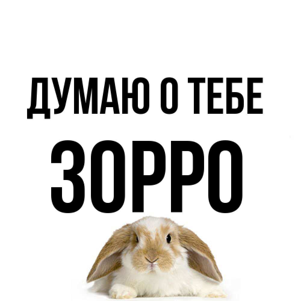 Открытка на каждый день с именем, Зорро Думаю о тебе подписать своими руками онлайн Прикольная открытка с пожеланием онлайн скачать бесплатно 