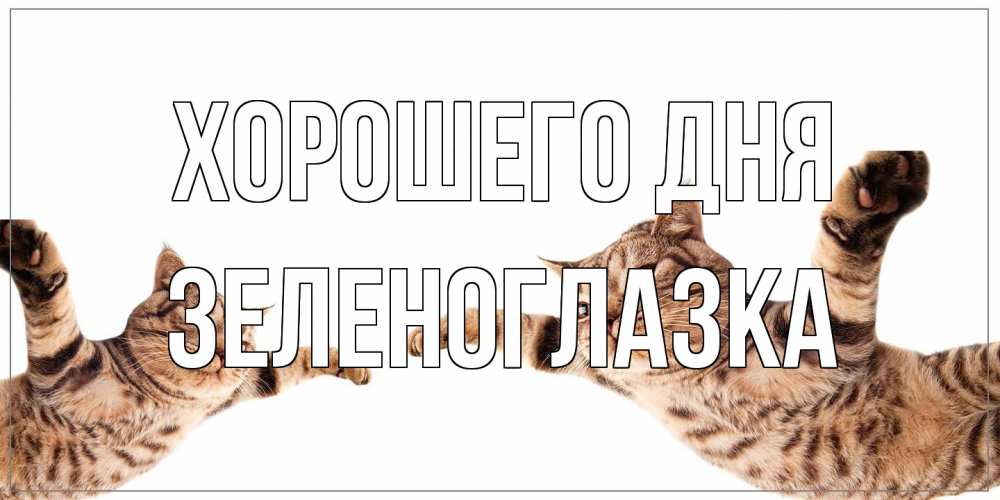 Открытка на каждый день с именем, зеленоглазка Хорошего дня хорошего дня Прикольная открытка с пожеланием онлайн скачать бесплатно 