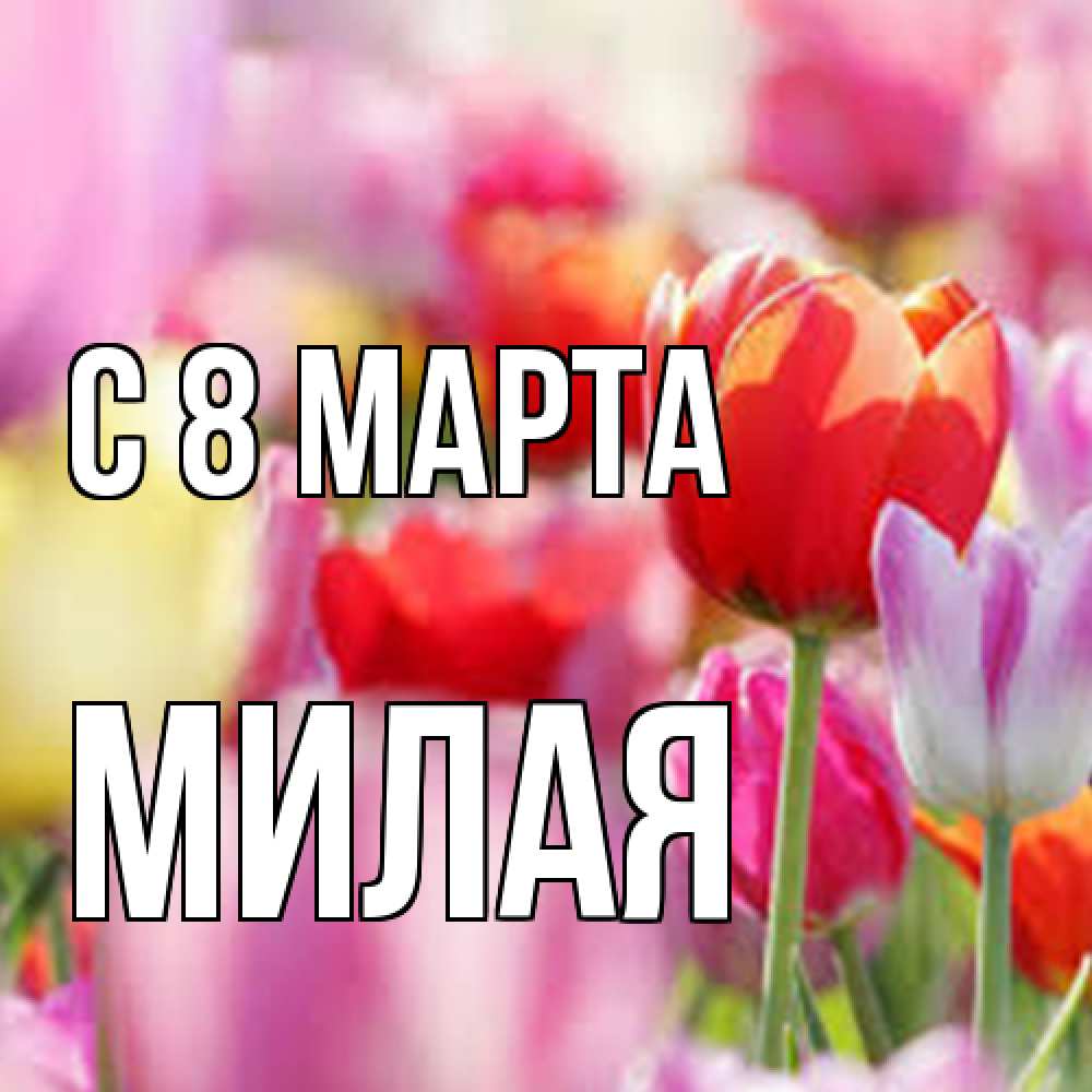 Открытка на каждый день с именем, Милая C 8 МАРТА на международный женский день 2 Прикольная открытка с пожеланием онлайн скачать бесплатно 