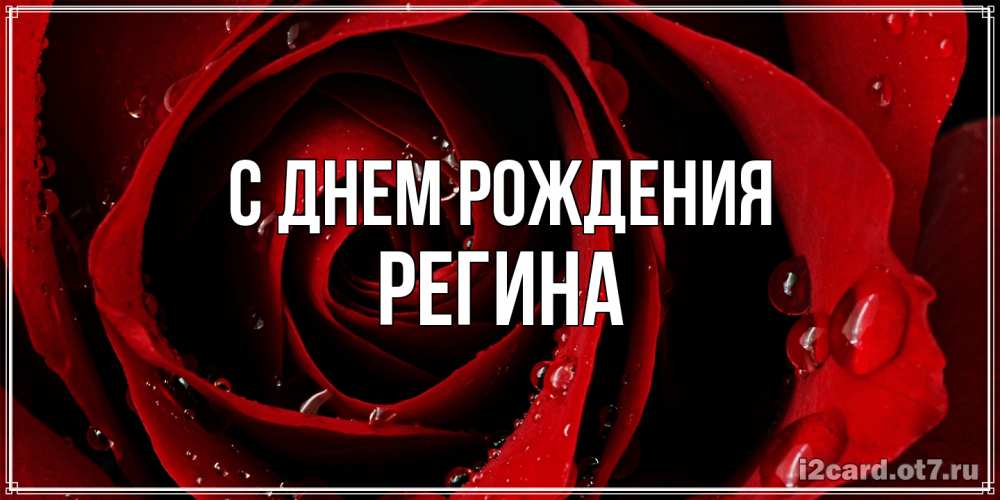 Открытка на каждый день с именем, Регина С днем рождения крупная бордовая роза Прикольная открытка с пожеланием онлайн скачать бесплатно 