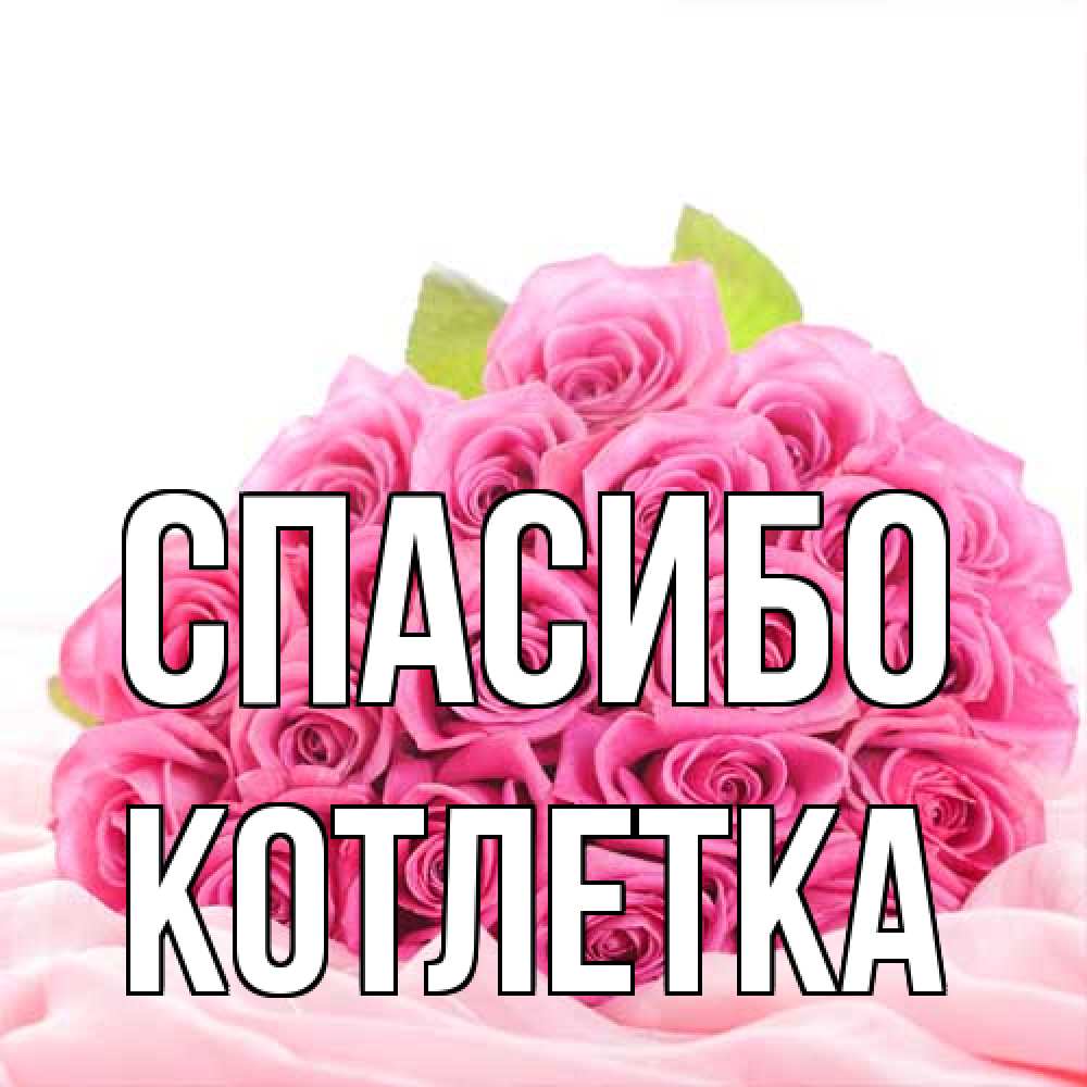 Открытка на каждый день с именем, Котлетка Спасибо розовые розы с подписью Прикольная открытка с пожеланием онлайн скачать бесплатно 