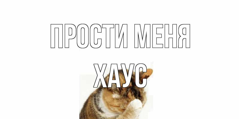 Открытка на каждый день с именем, Хаус Прости меня кот Прикольная открытка с пожеланием онлайн скачать бесплатно 