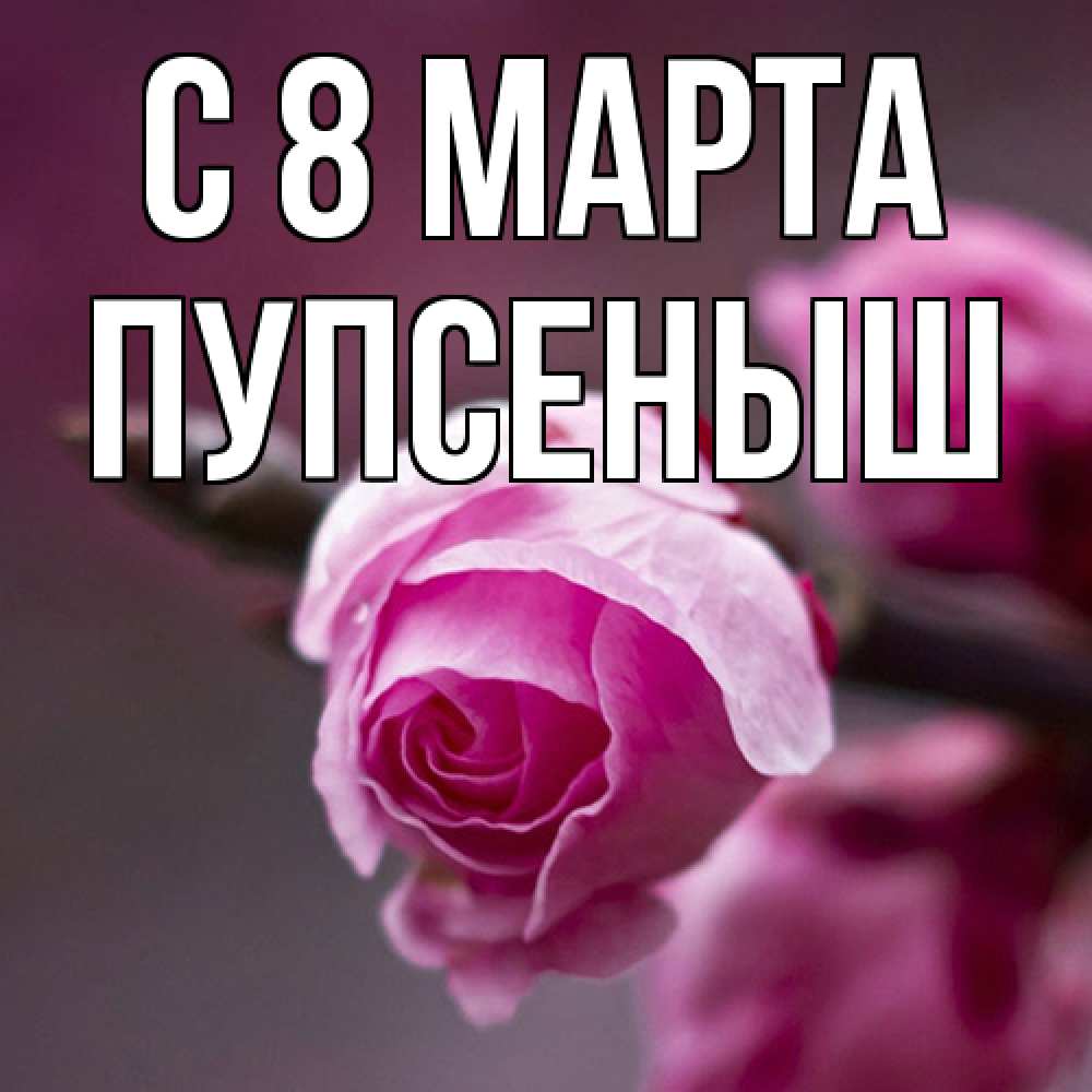 Открытка на каждый день с именем, пупсеныш C 8 МАРТА весна Прикольная открытка с пожеланием онлайн скачать бесплатно 