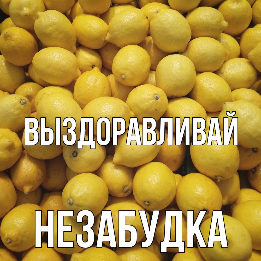 Открытка на каждый день с именем, Незабудка Выздоравливай это точно поможет Прикольная открытка с пожеланием онлайн скачать бесплатно 