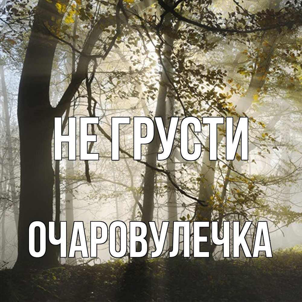 Открытка на каждый день с именем, Очаpовулечка Не грусти лес и свет Прикольная открытка с пожеланием онлайн скачать бесплатно 