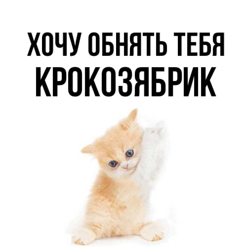 Картинка Хочу обнять тебя, крокозябрик
