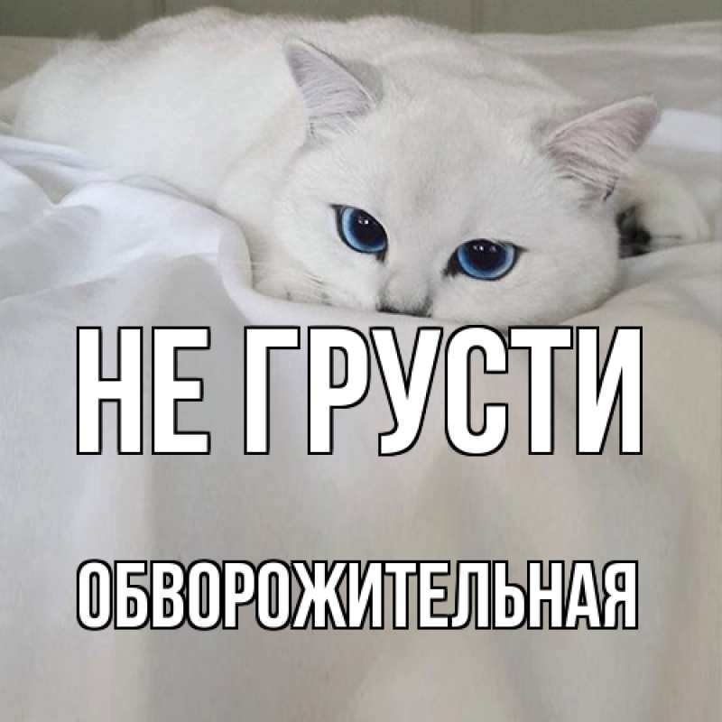 Картинка Не грусти, Обвоpожительная