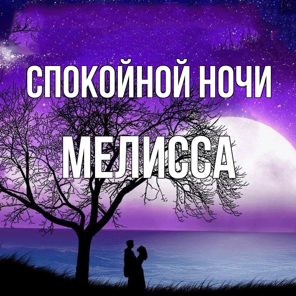 Открытка на каждый день с именем, Мелисса Спокойной ночи огромная луна и парочка Прикольная открытка с пожеланием онлайн скачать бесплатно 