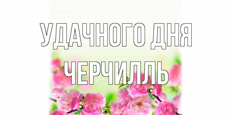Картинка Удачного дня, Черчилль
