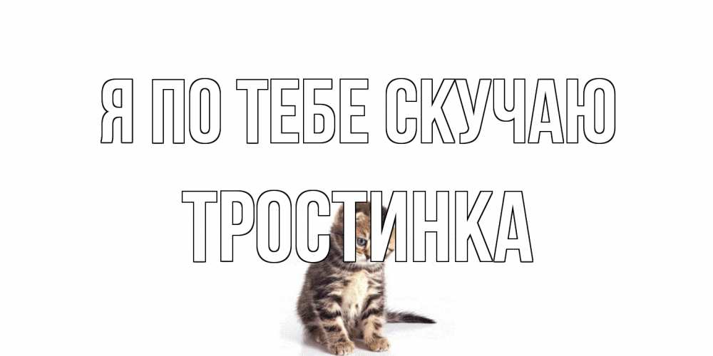 Открытка на каждый день с именем, Тростинка Я по тебе скучаю кот Прикольная открытка с пожеланием онлайн скачать бесплатно 