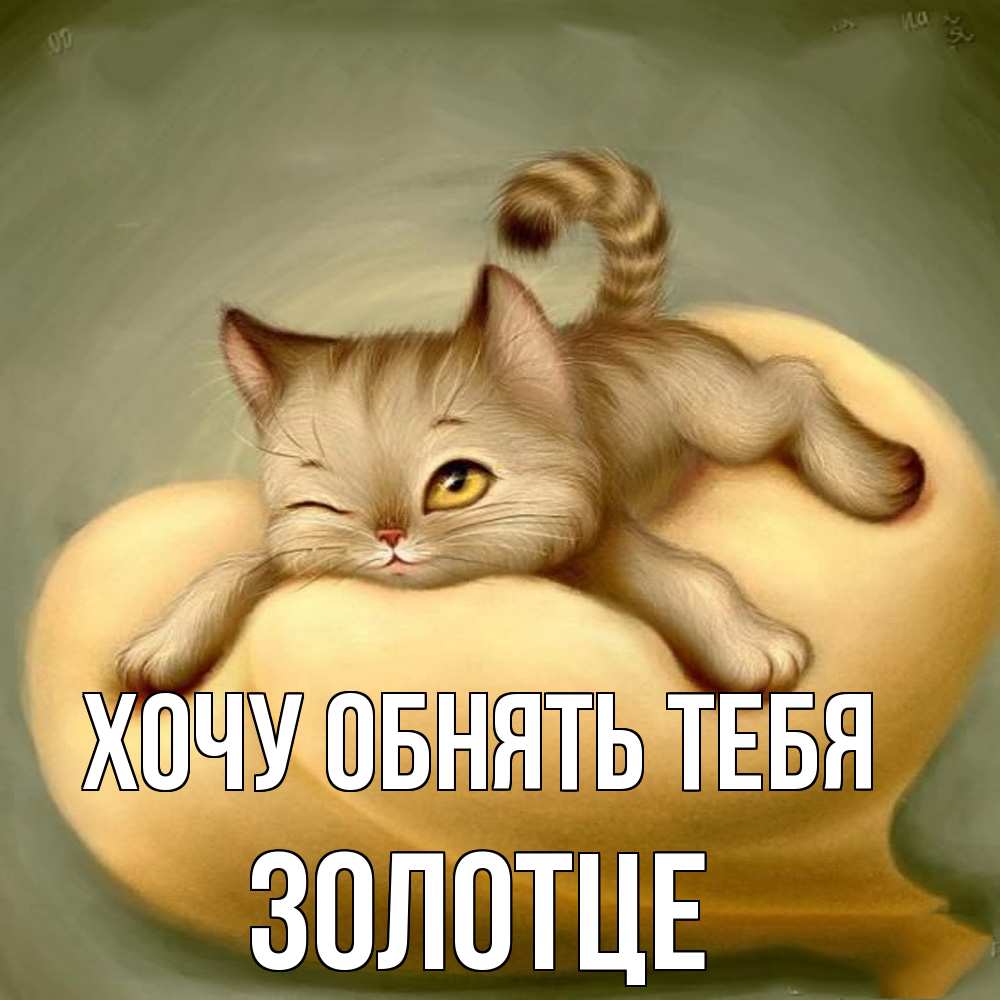Открытка на каждый день с именем, Золотце Хочу обнять тебя кошечка Прикольная открытка с пожеланием онлайн скачать бесплатно 