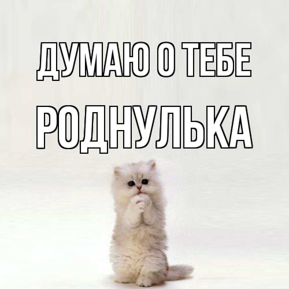 Открытка на каждый день с именем, Роднулька Думаю о тебе кот стоит на задних лапах Прикольная открытка с пожеланием онлайн скачать бесплатно 