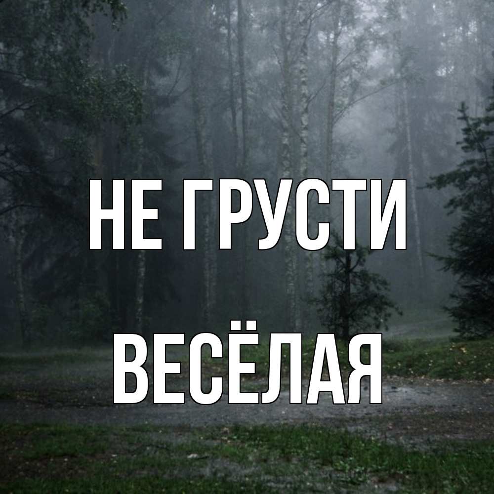 Открытка на каждый день с именем, Весёлая Не грусти осень Прикольная открытка с пожеланием онлайн скачать бесплатно 