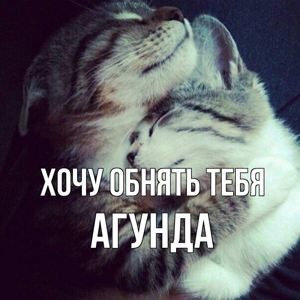 Открытка на каждый день с именем, Агунда Хочу обнять тебя полосатики Прикольная открытка с пожеланием онлайн скачать бесплатно 
