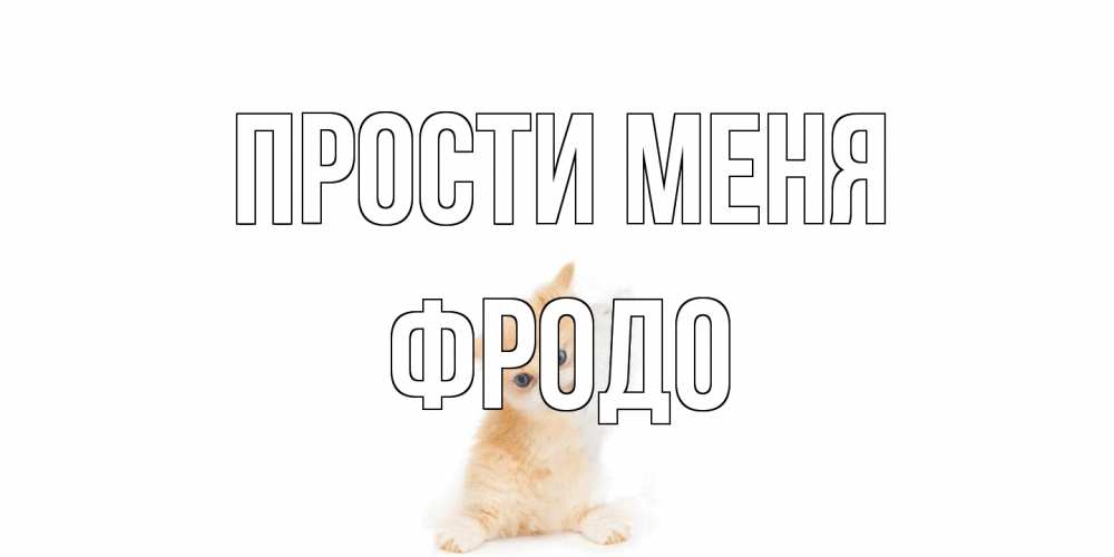 Открытка на каждый день с именем, Фродо Прости меня кот Прикольная открытка с пожеланием онлайн скачать бесплатно 