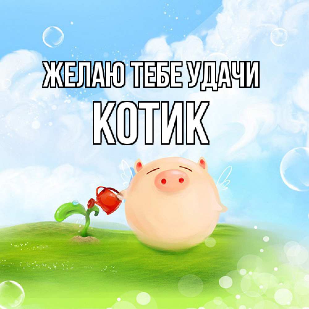 Открытка на каждый день с именем, Котик Желаю тебе удачи поросенок поливает цветок. летнее настроение Прикольная открытка с пожеланием онлайн скачать бесплатно 