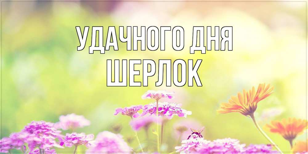 Открытка на каждый день с именем, Шерлок Удачного дня красивая открытка с летней темой Прикольная открытка с пожеланием онлайн скачать бесплатно 