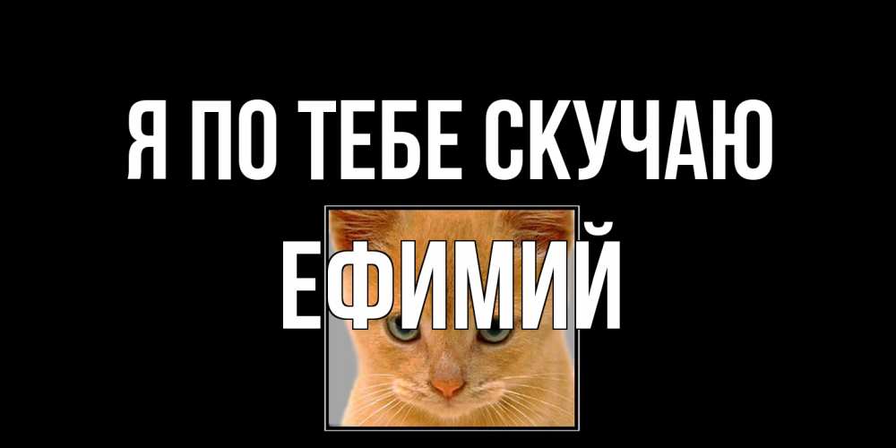 Открытка на каждый день с именем, Ефимий Я по тебе скучаю открытки рыжий котенок скучает по тебе Прикольная открытка с пожеланием онлайн скачать бесплатно 