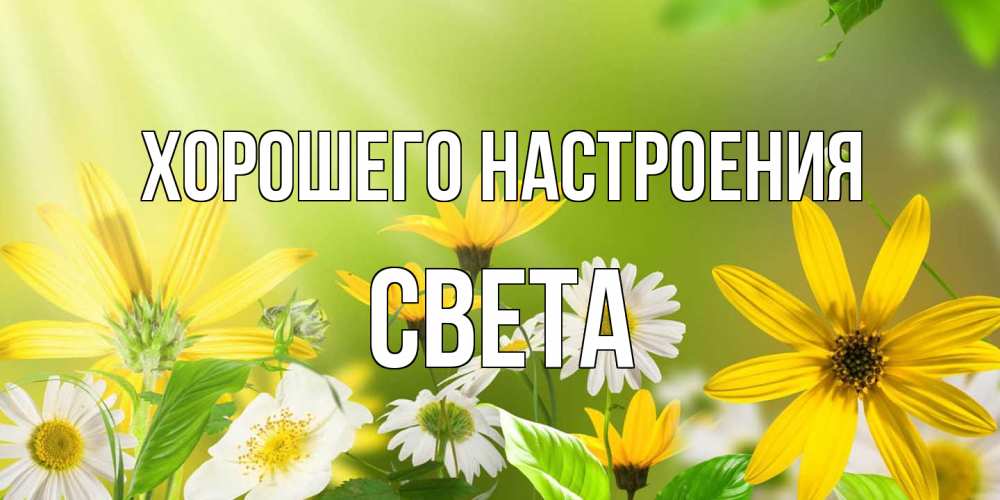 Открытка на каждый день с именем, Света Хорошего настроения цветы Прикольная открытка с пожеланием онлайн скачать бесплатно 