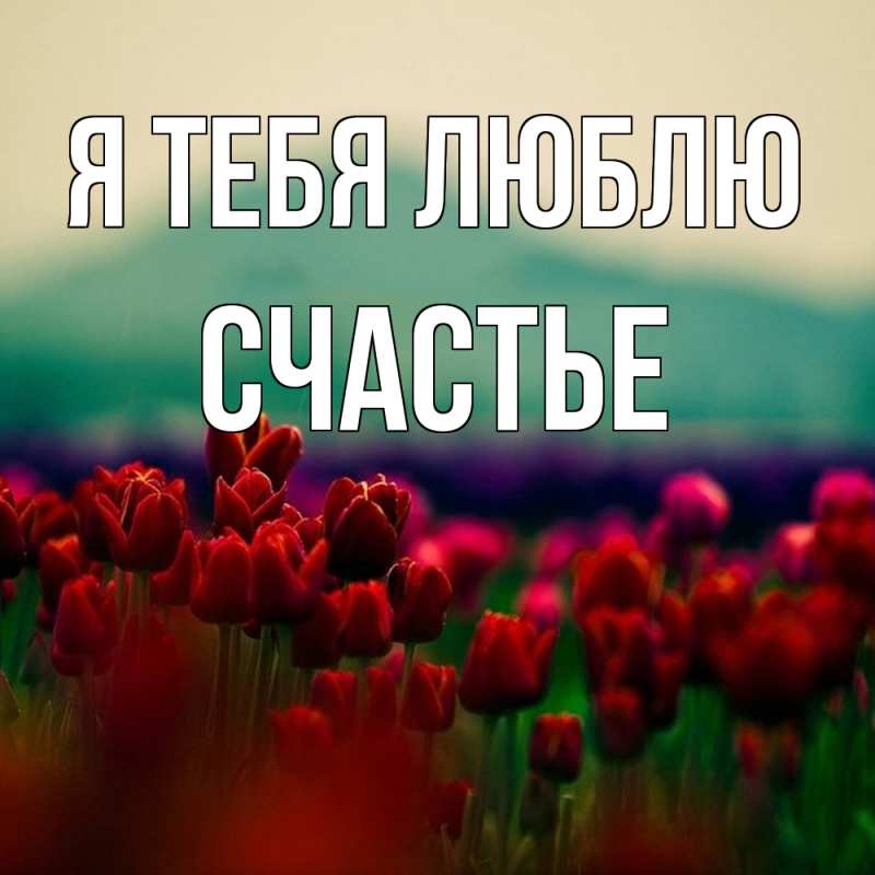 Картинка Я тебя люблю, счастье