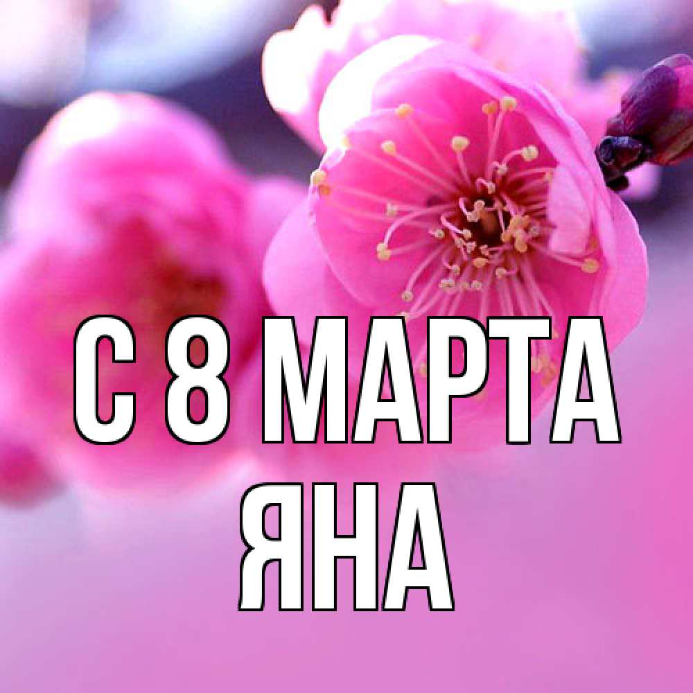Открытка на каждый день с именем, Яна C 8 МАРТА международный женский день Прикольная открытка с пожеланием онлайн скачать бесплатно 