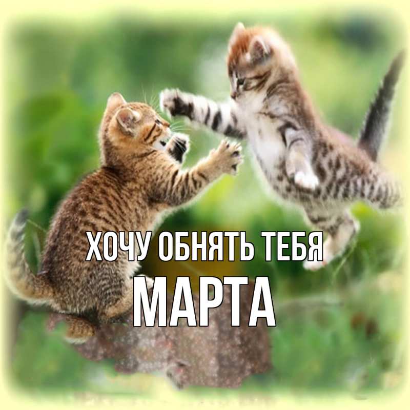 Картинка Хочу обнять тебя, Марта