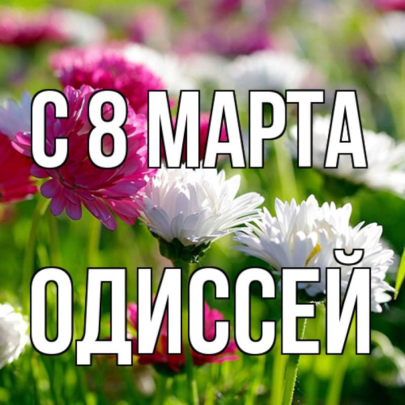 Открытка с именем, Одиссей, C 8 МАРТА