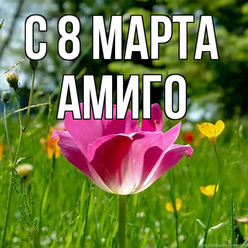 Открытка с именем, Амиго, C 8 МАРТА